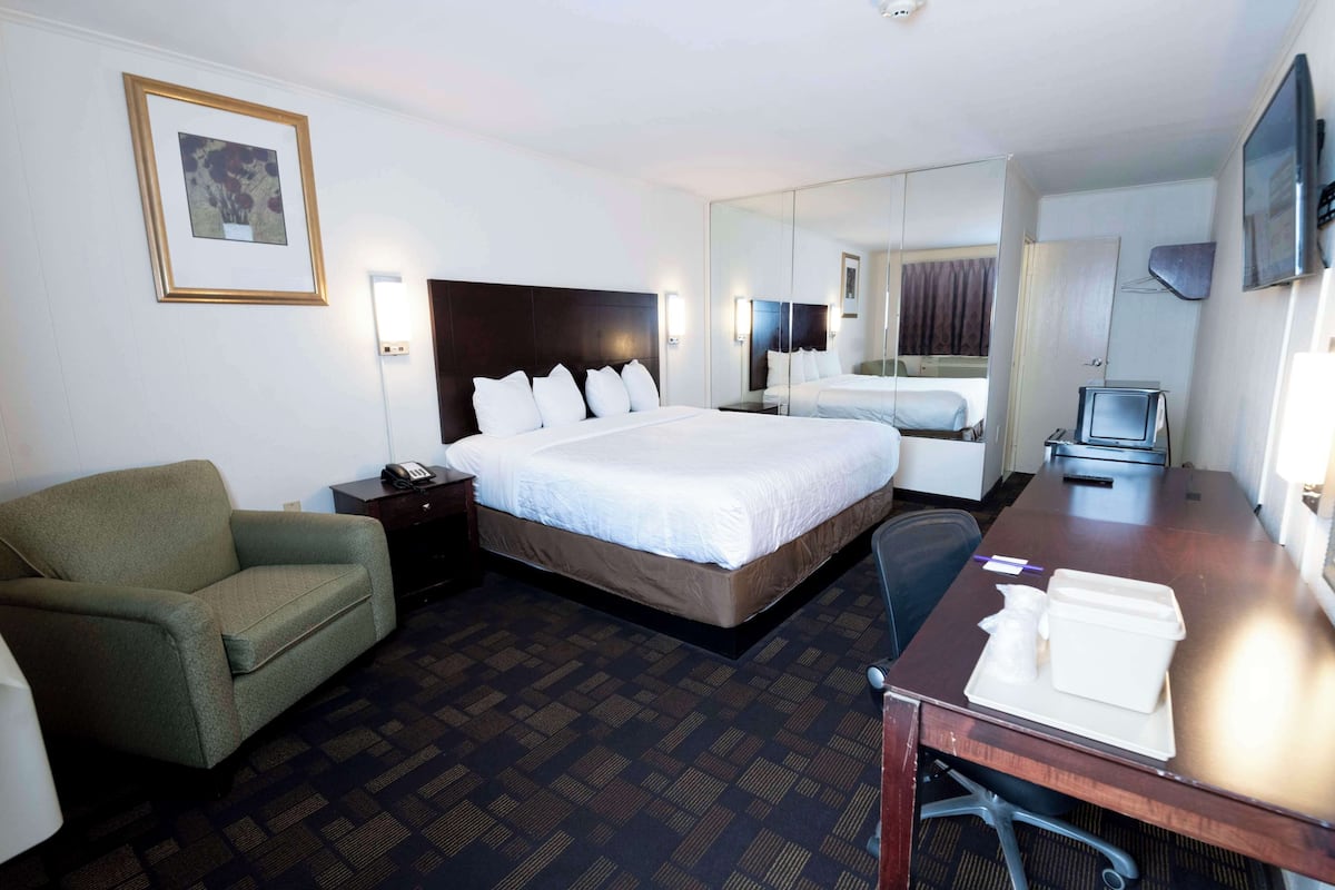 A hotel room with a large bed, a desk with a computer, a chair, a sofa, and a television.
