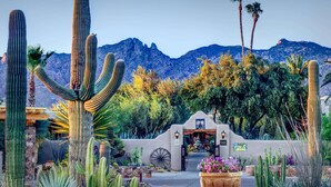 Un jardí desert amb cactus alts i palmeres, una entrada rústica i un paisatge montanyós de fons.