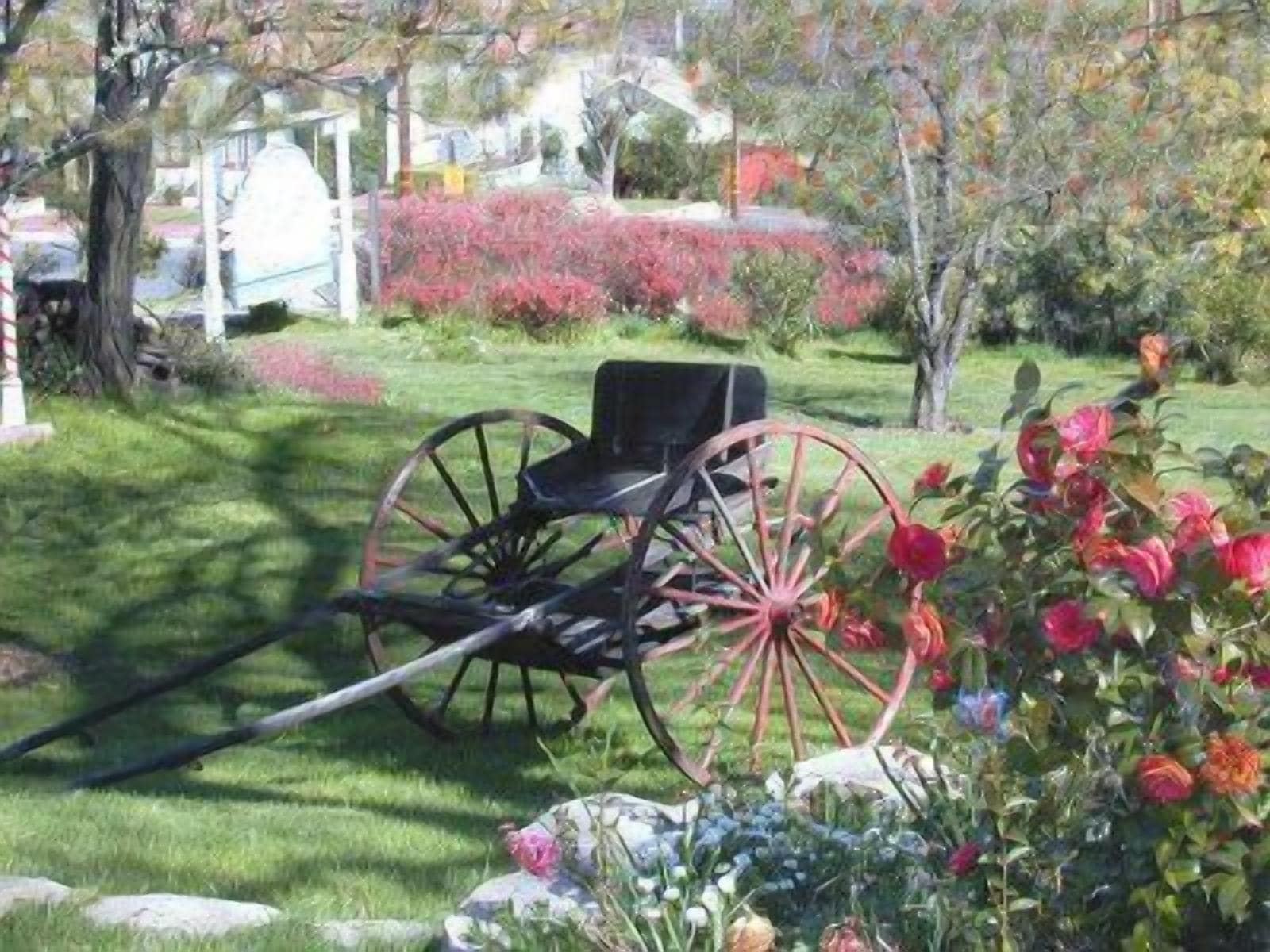 A garden with a vintage carriage wheel and a chair, surrounded by lush greenery and flowering plants.