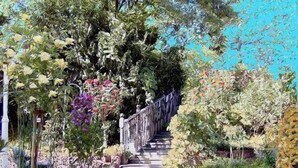 Un sendero en un jardín con valla de madera y escalones que conducen a un edificio.