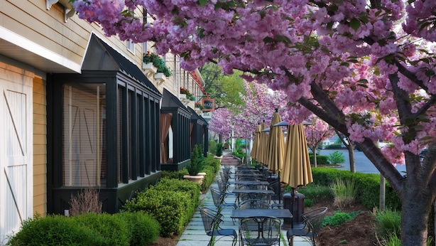 Tavoli e sedie disposti in fila lungo un marciapiede, con un edificio da un lato e un albero con fiori rosa dall'altro.
