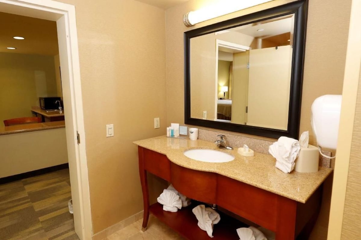 A hotel bathroom with a sink, mirror, towel rack, and a toilet paper holder.