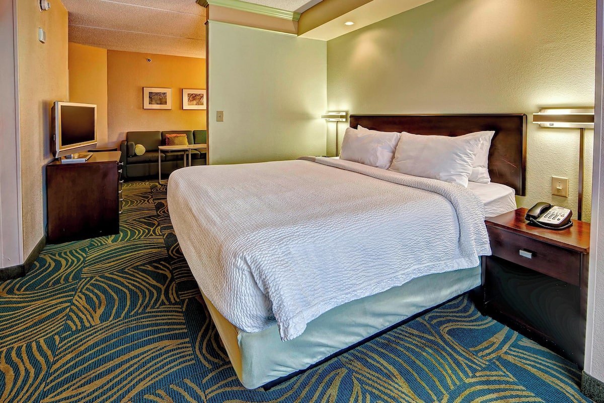 suite, 1 king bed with sofa bed | hypo-allergenic bedding, desk, blackout curtains, iron/ironing board