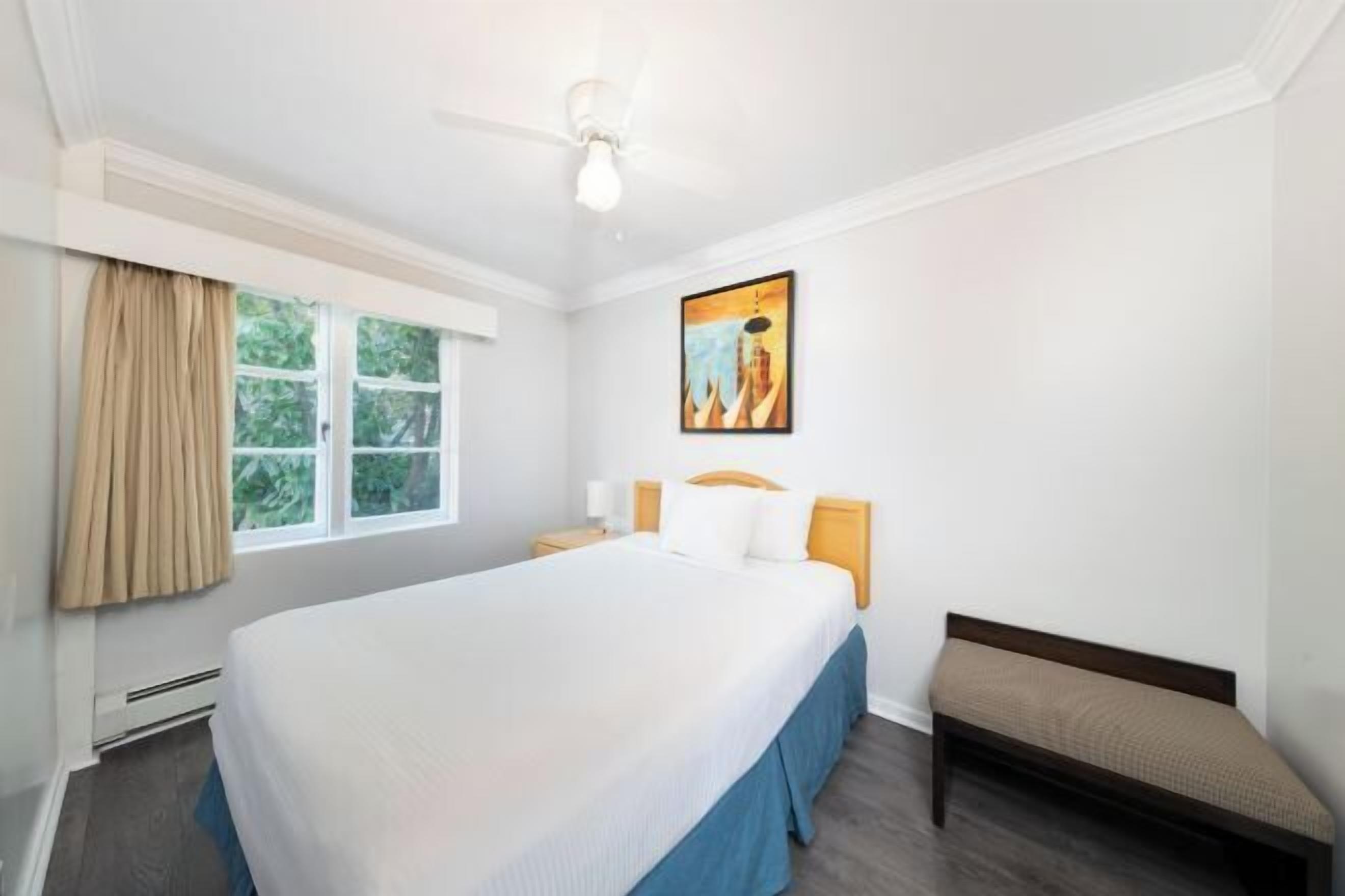 Cortinas blackout y tabla de planchar con plancha 