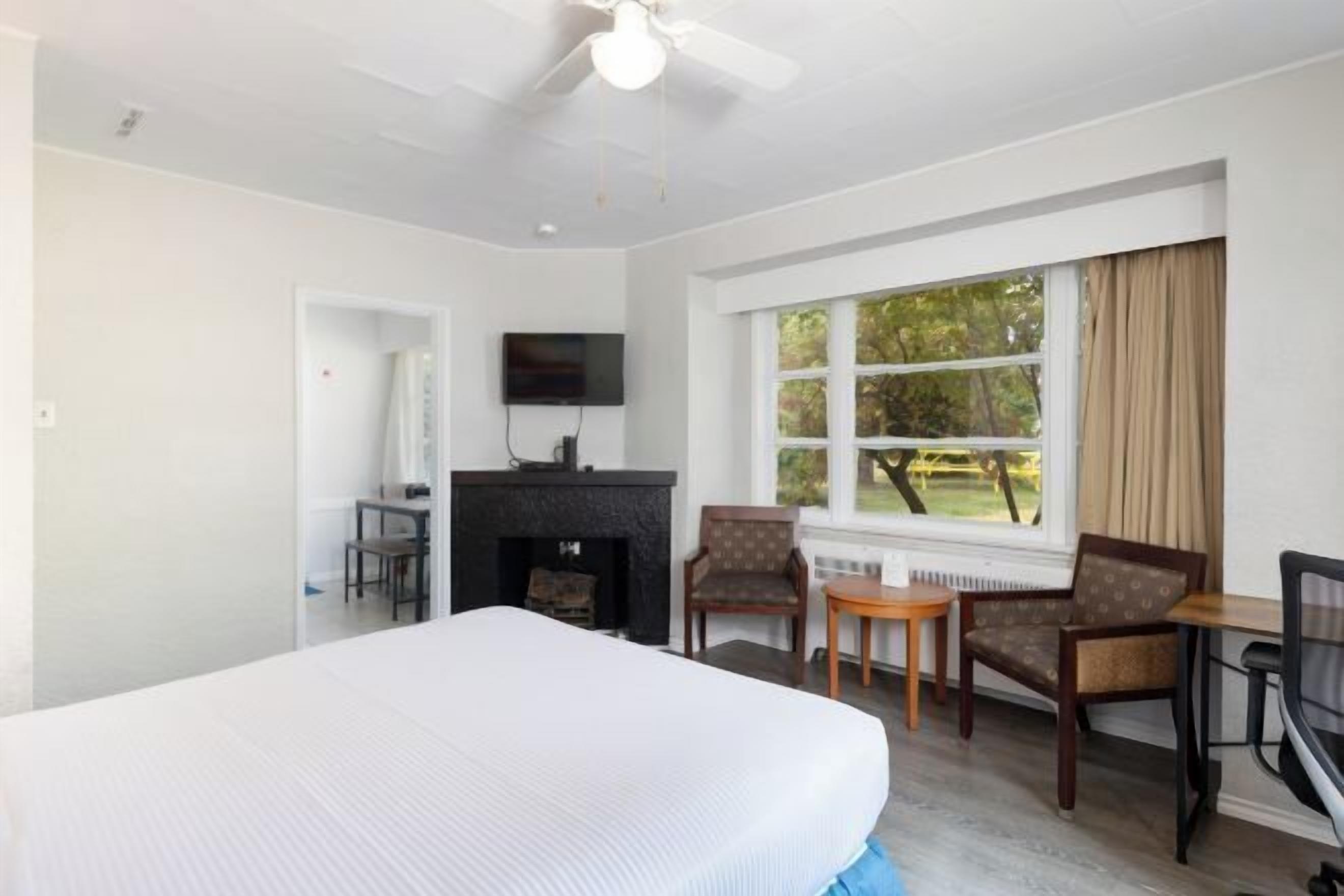 Cortinas blackout y tabla de planchar con plancha 