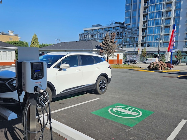 Servicio de la propiedad