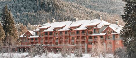 Facciata della struttura