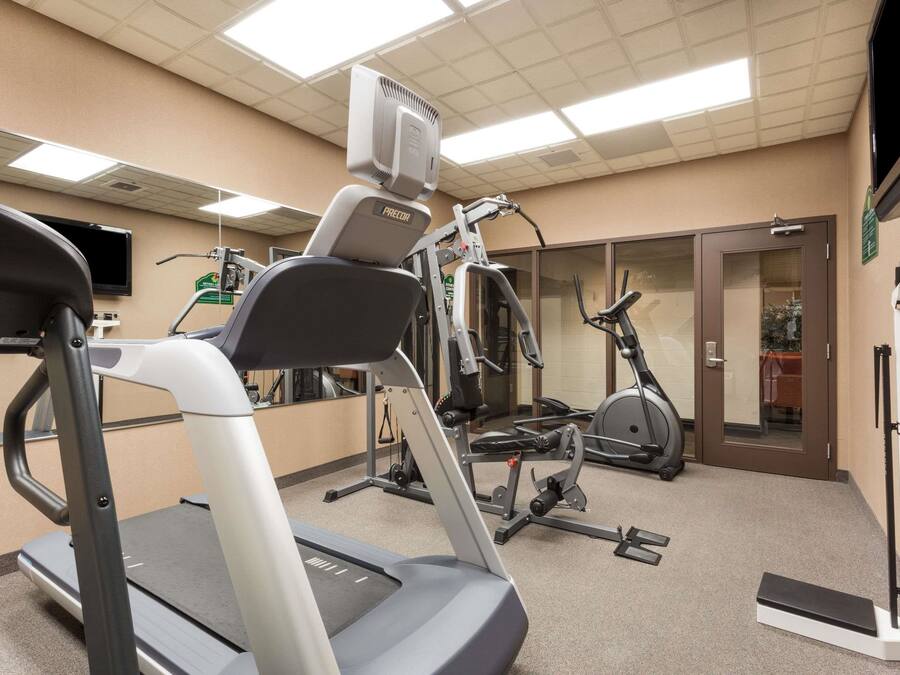 A gym with treadmills, elliptical machines, and weight equipment.
