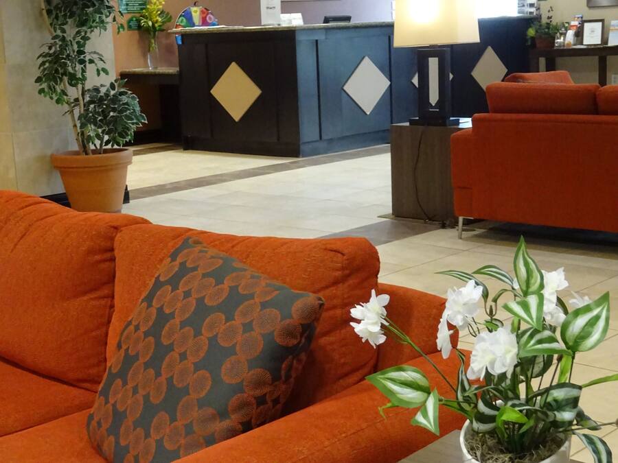 Un vestíbulo de hotel con un sofá naranja, una recepción y una planta en maceta.