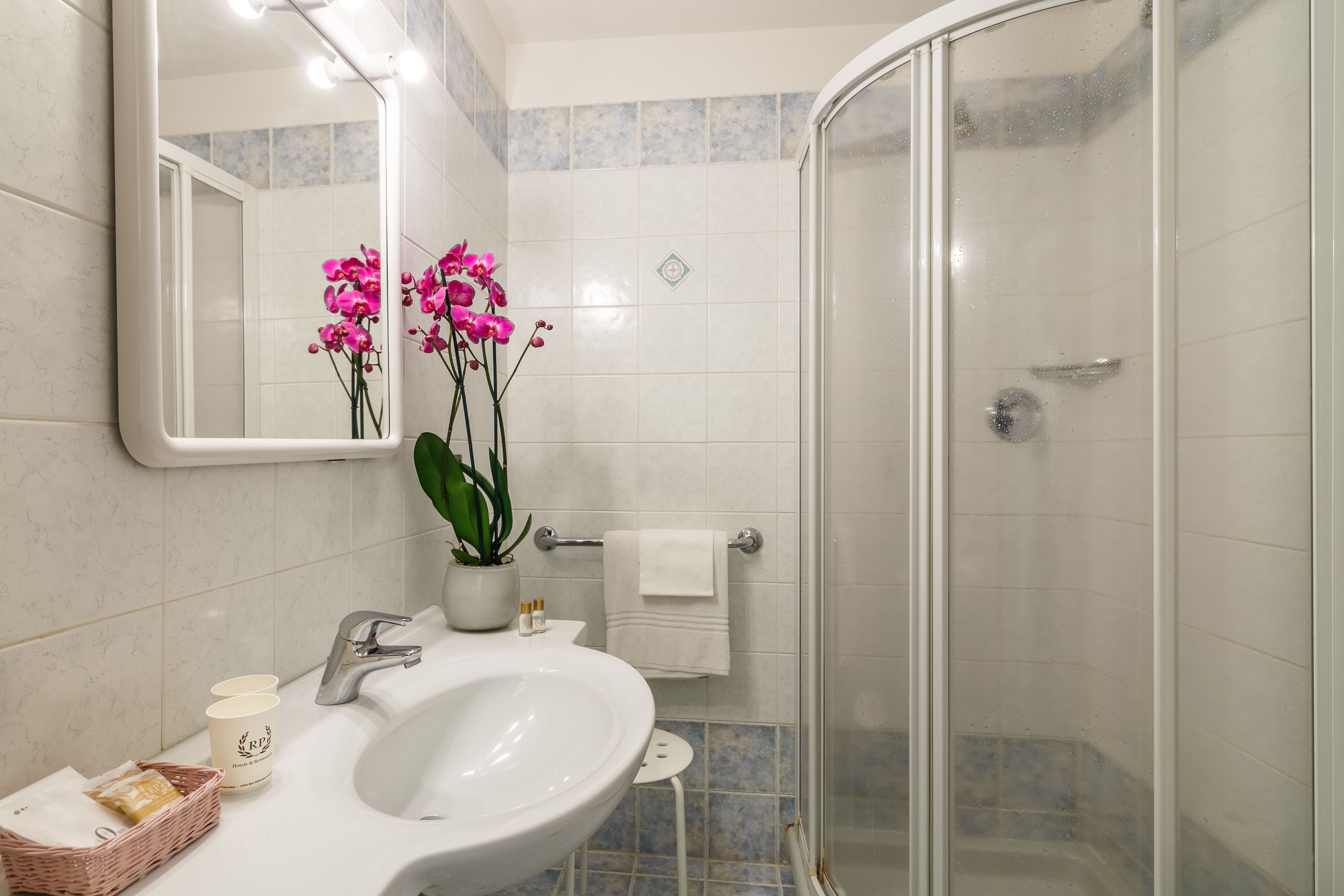 shower, free toiletries, hair dryer, bidet
