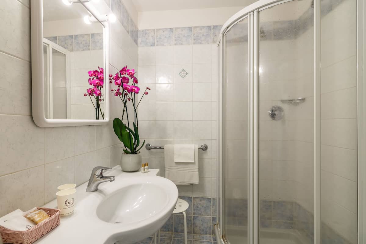 shower, free toiletries, hair dryer, bidet