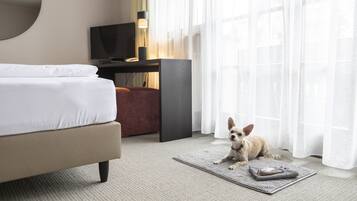 A hotel room with a bed, a desk with a television, a rug, and a small dog.