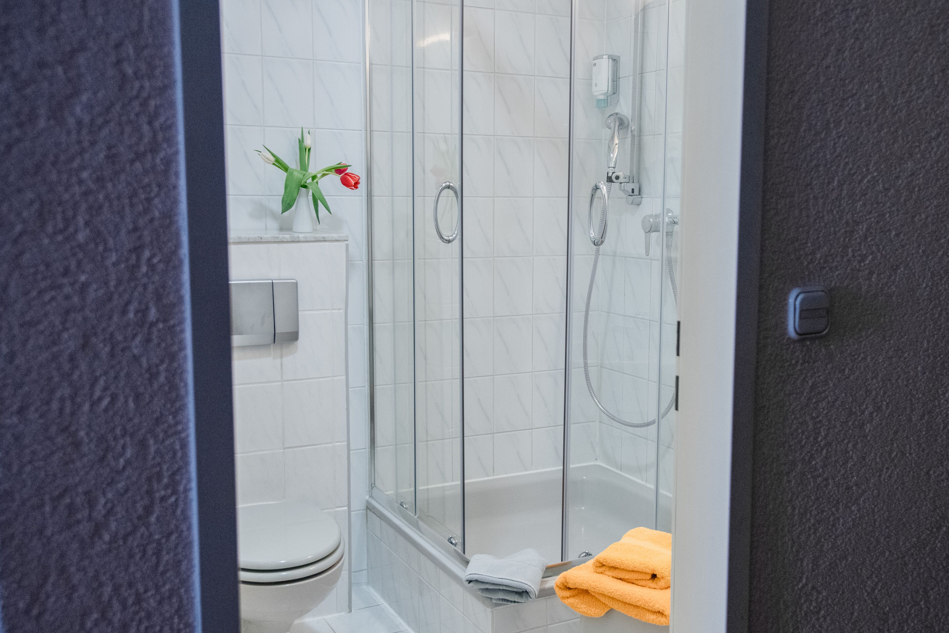 Dusche, Haartrockner, Handtücher