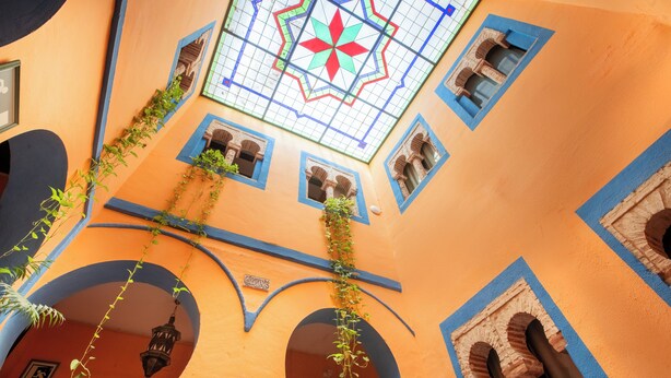 Une pièce avec un sol carrelé, une fenêtre ornée d’un motif géométrique et une plante suspendue.