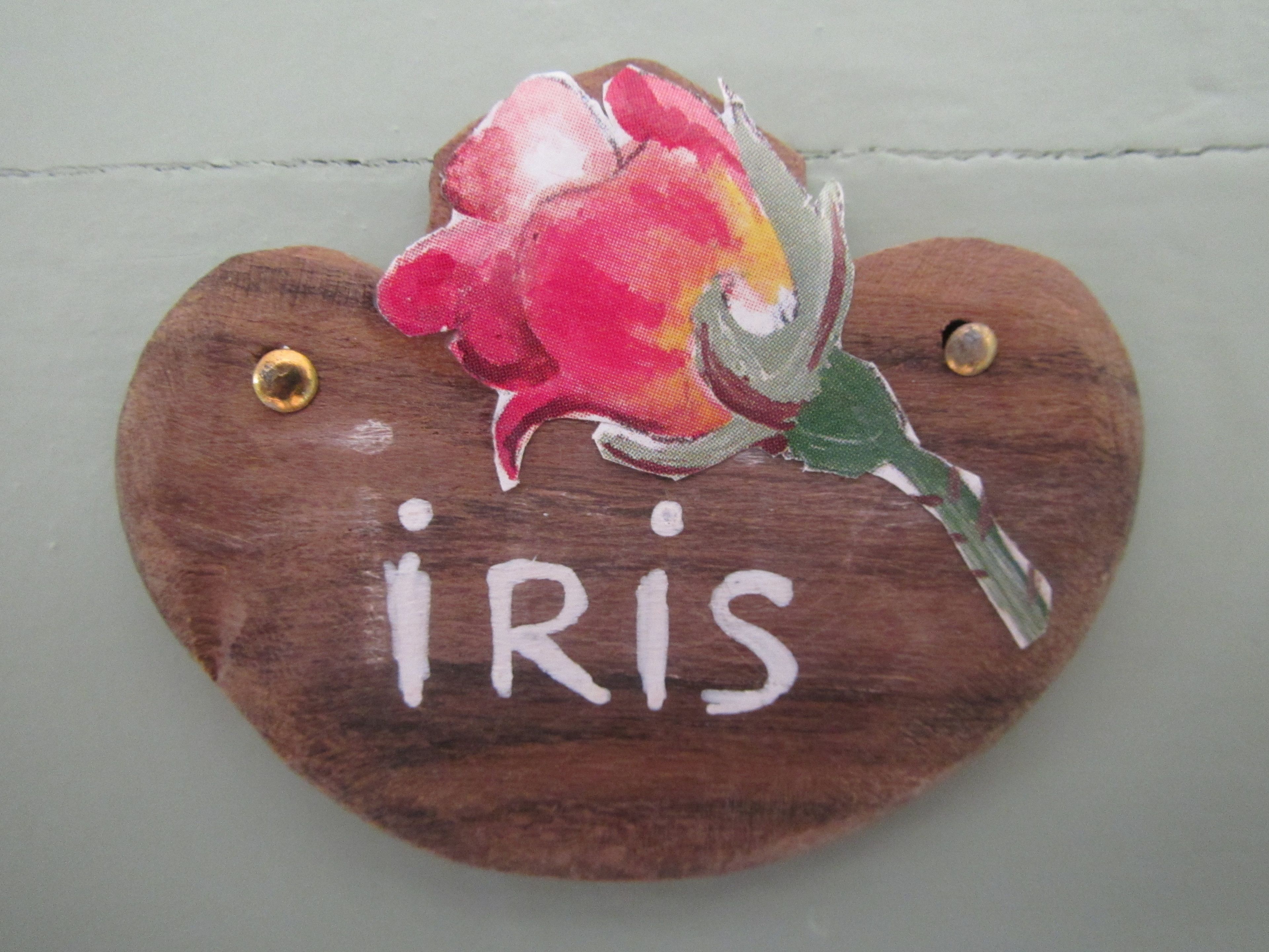 A wooden plaque with a painted flower and the name "IRIS" on it.