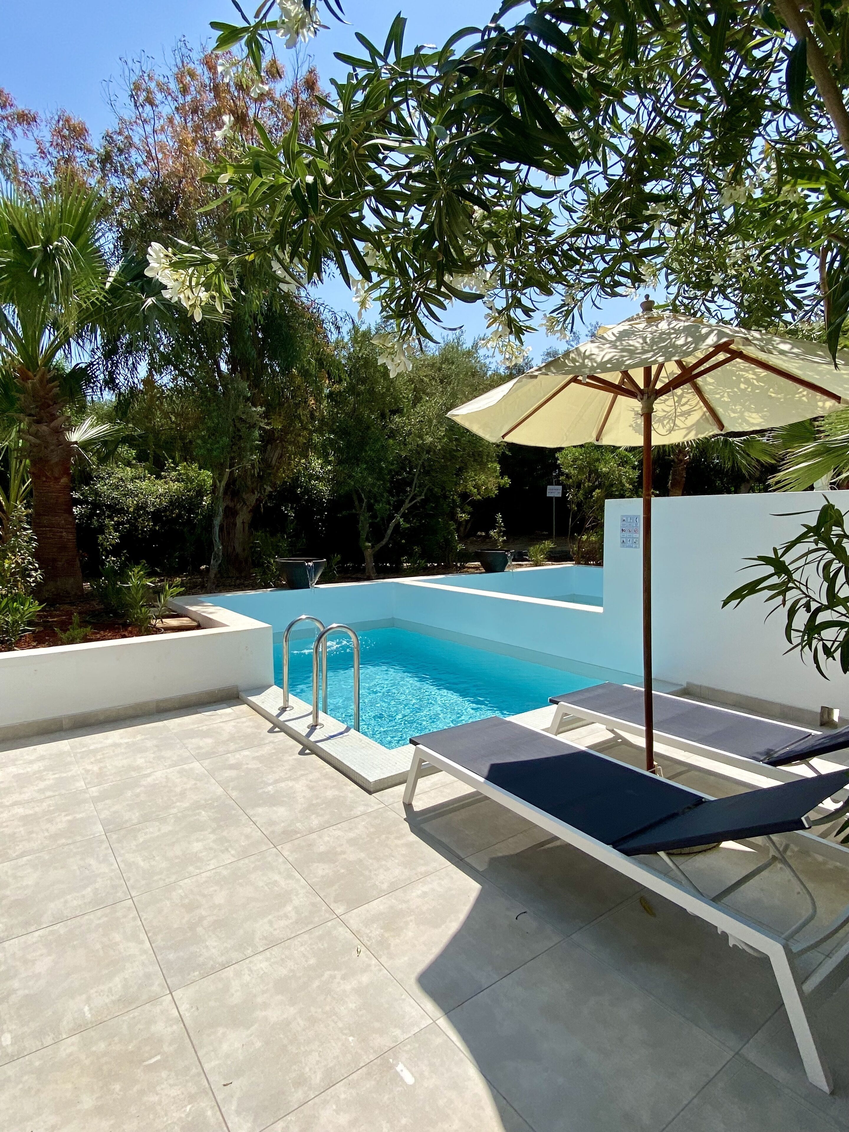 Una piscina con sillones de descanso y una sombrilla, rodeada de vegetación.