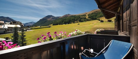 Vue depuis le balcon