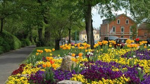 Un jardín lleno de flores de colores variados y árboles a lo largo de una calle.