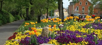 Hotel Kitzinger Hof