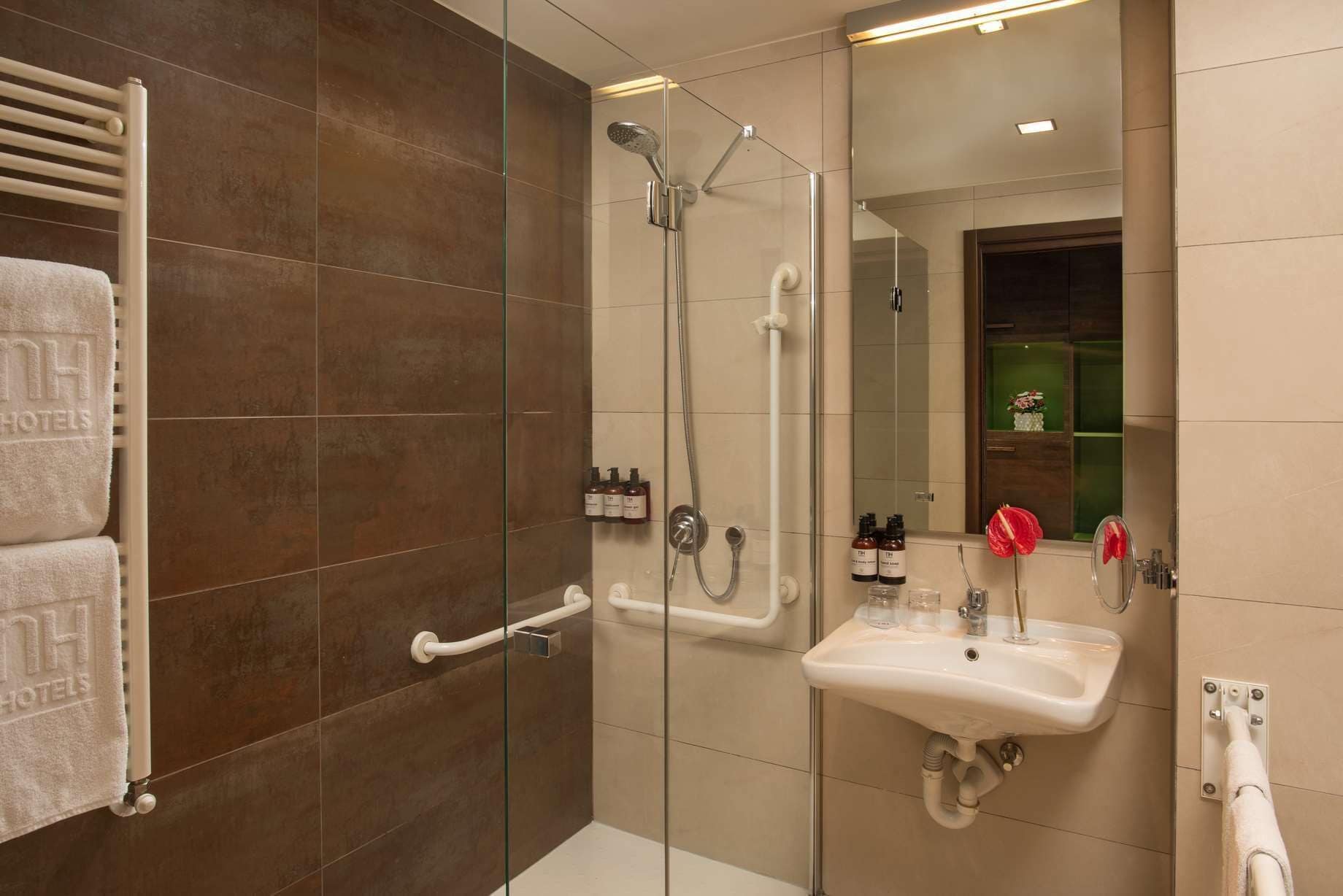 standard room | accessible bathroom