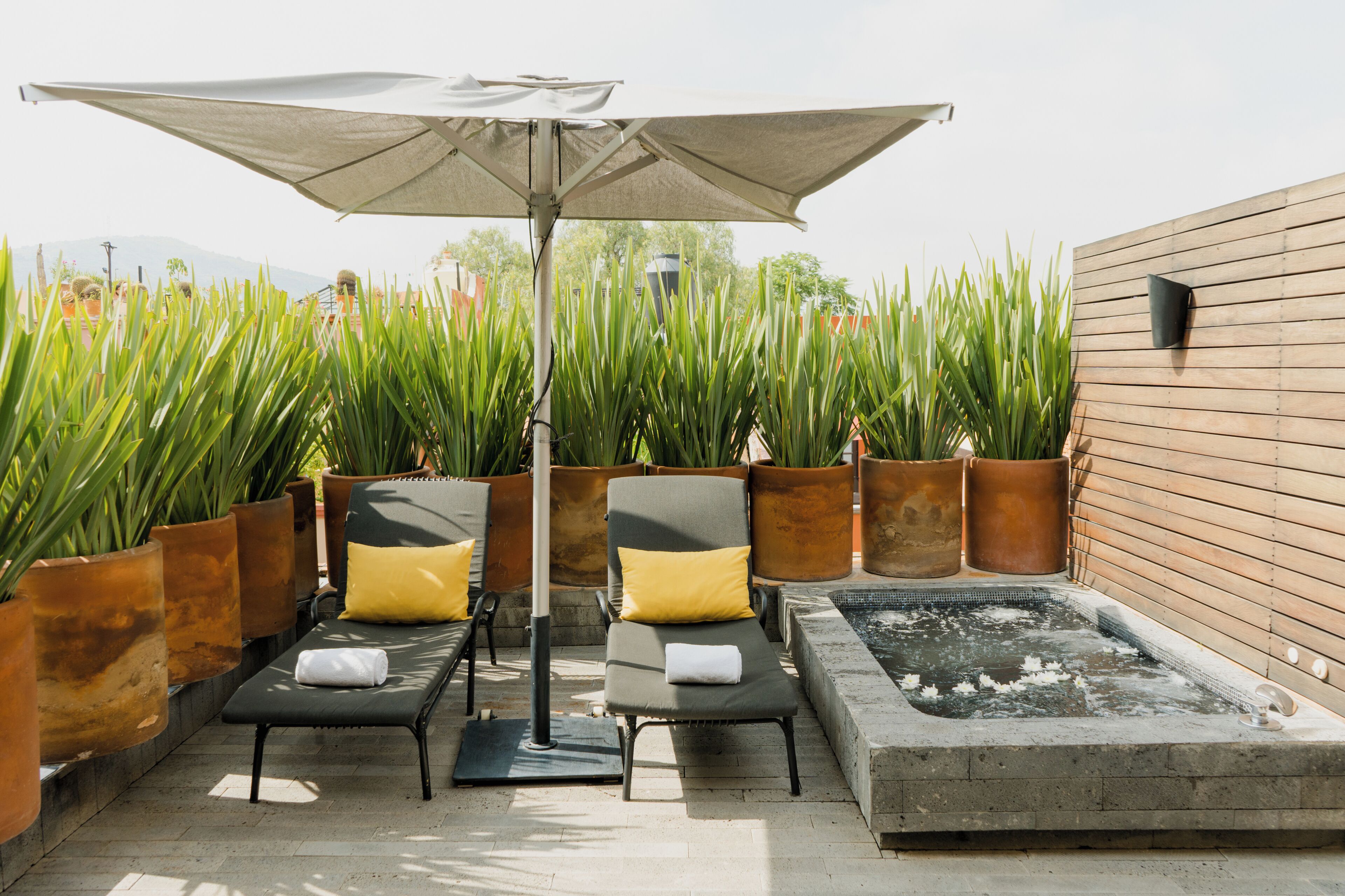 Terraza o patio