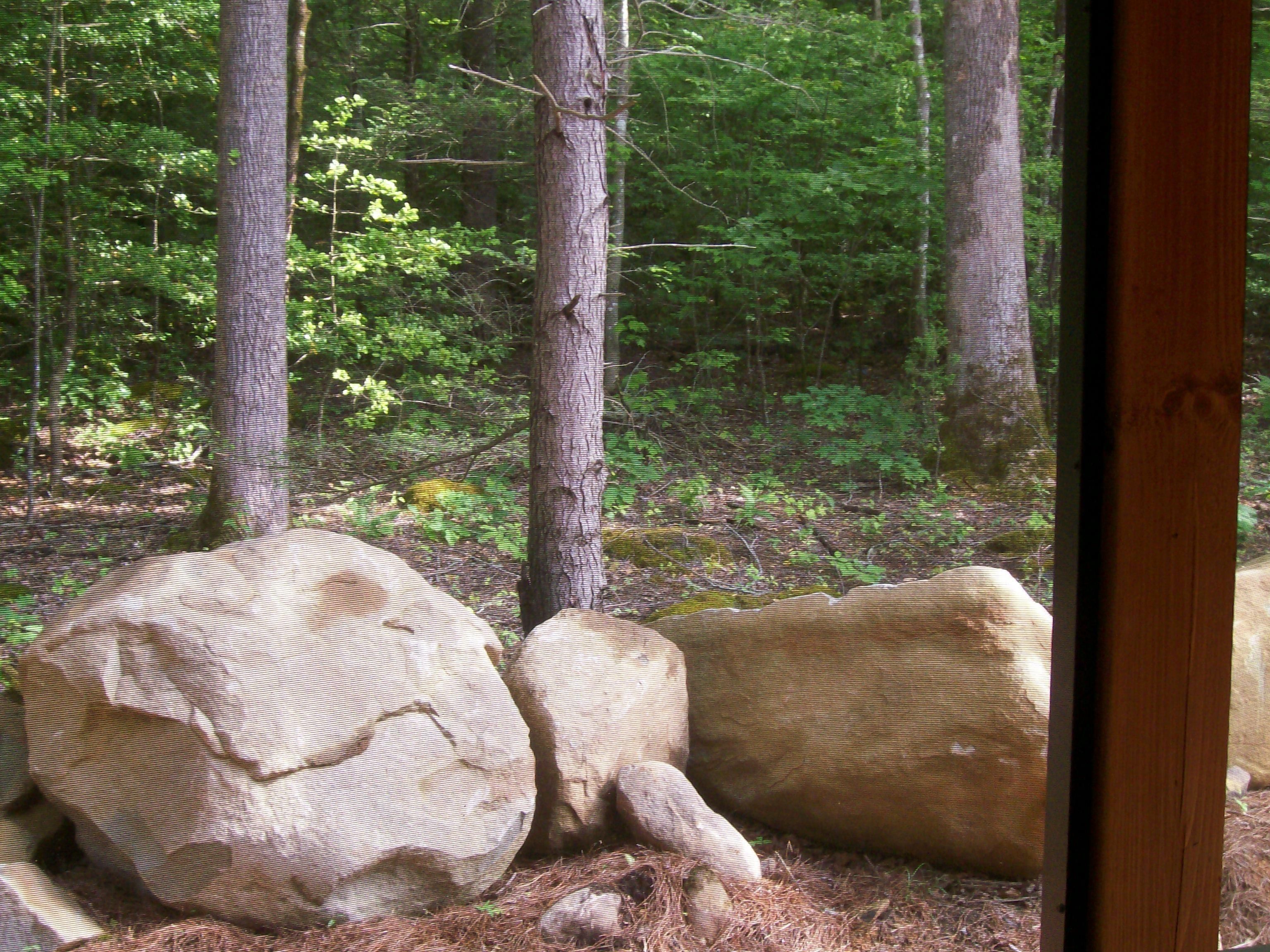 A forested area with large rocks and trees.