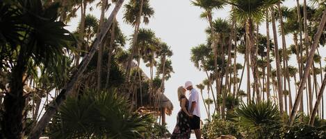Um casal caminhando por uma passarela de madeira, rodeado por altas palmeiras.