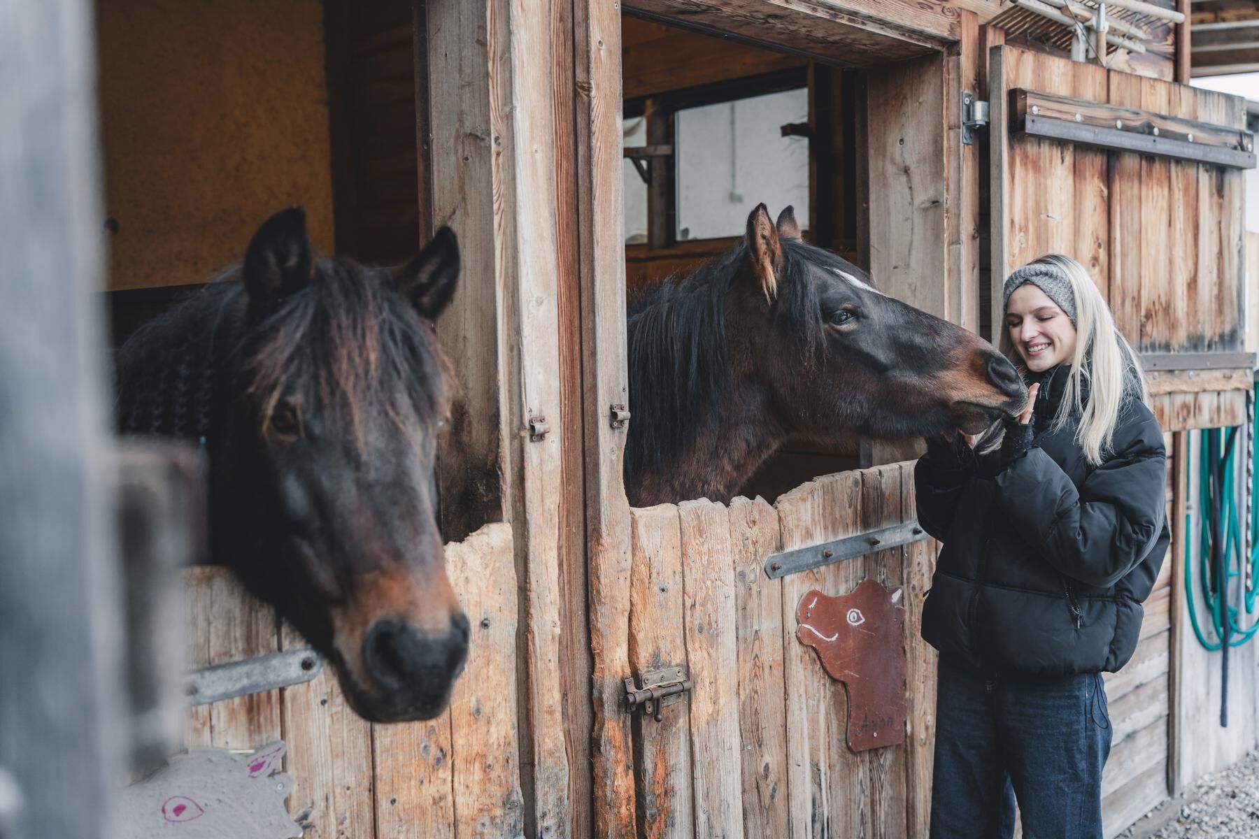 乗馬
