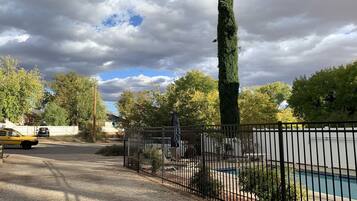 Un quartier résidentiel avec une piscine, un grand arbre et une clôture.