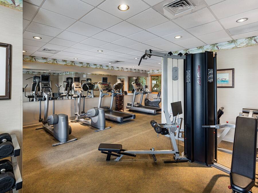 A gym with various exercise equipment, including treadmills, elliptical machines, and weight machines.