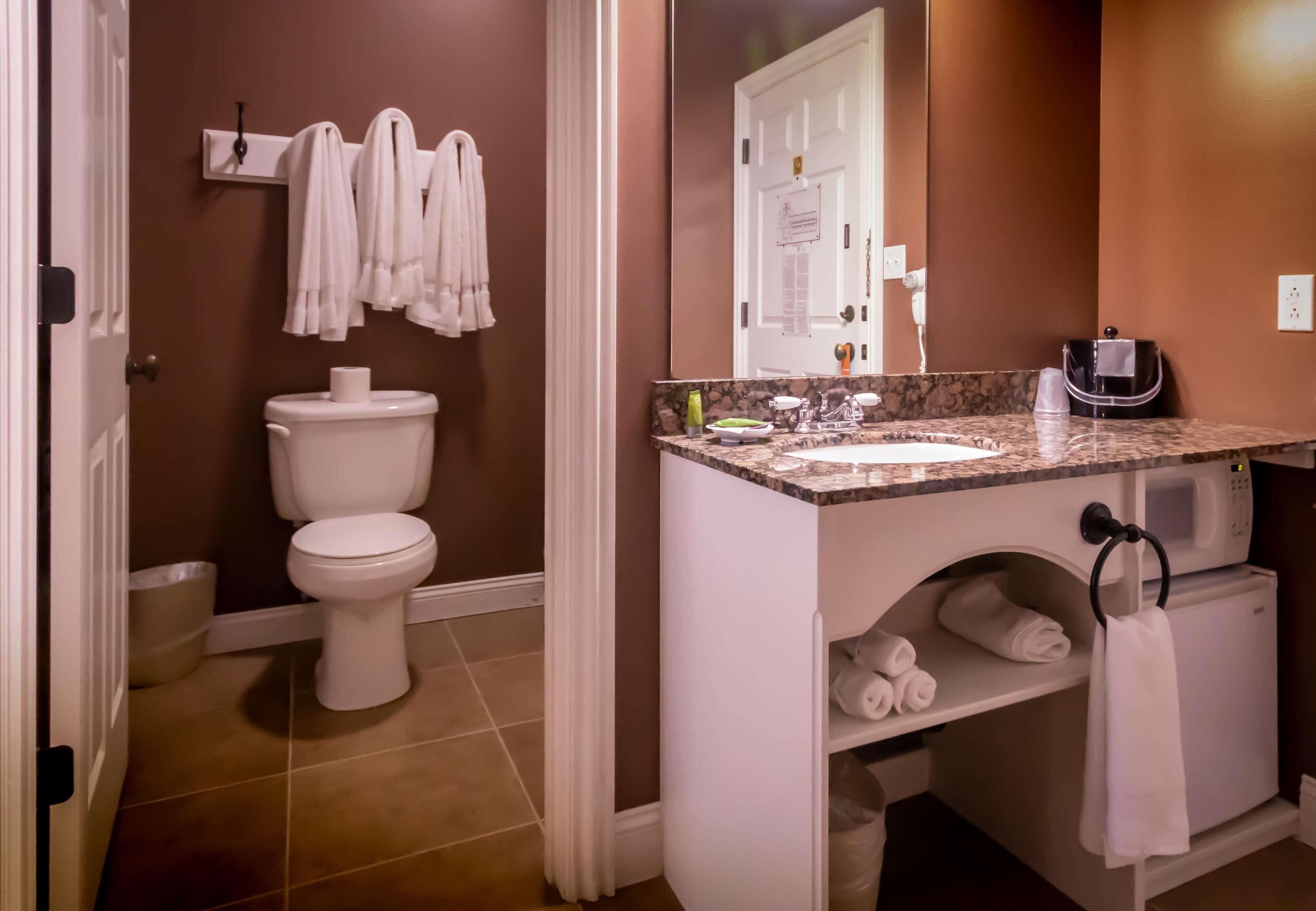 A bathroom with a toilet, sink, and towel rack.