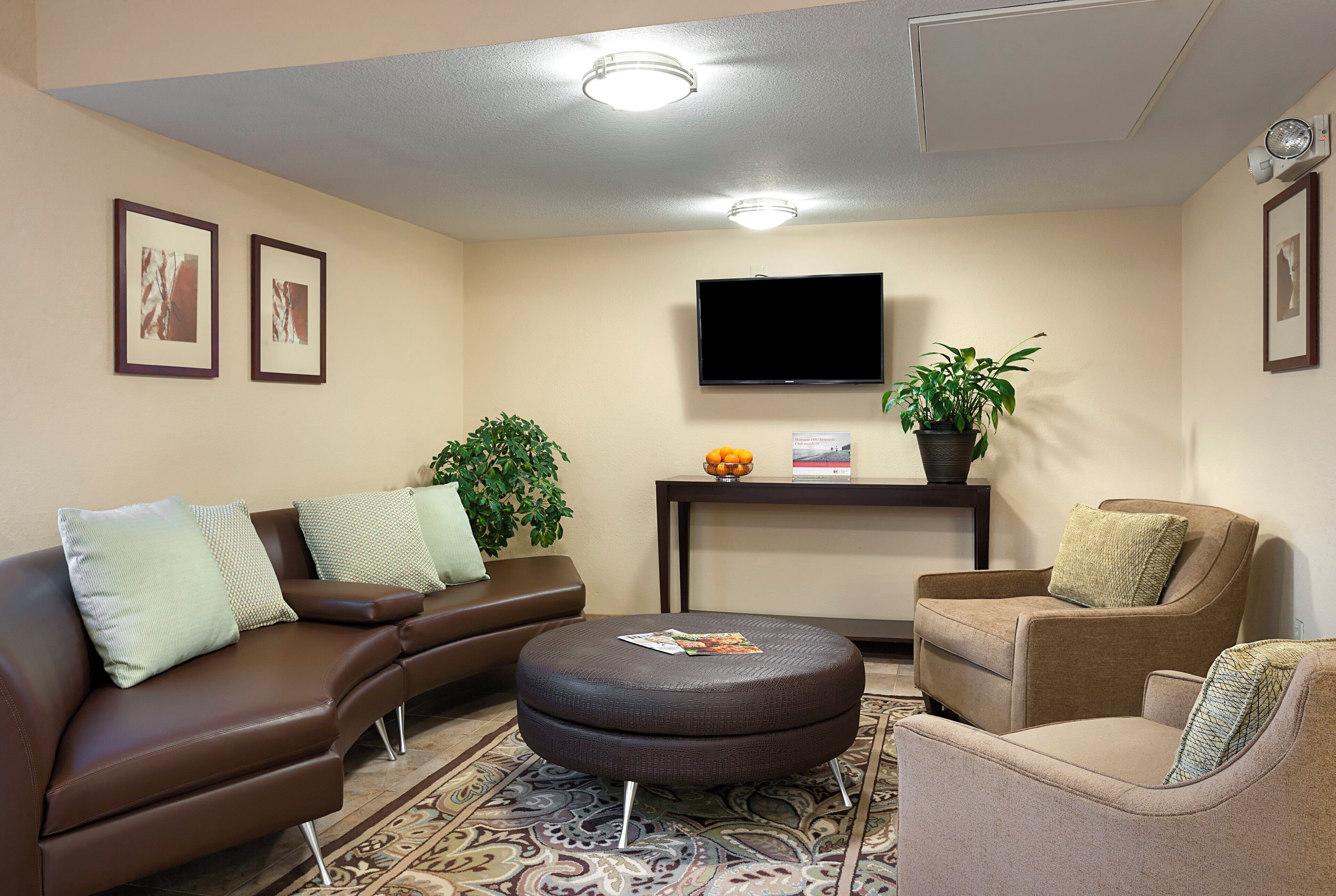 A living room with a brown leather sofa, a brown armchair, a round ottoman, a flat-screen TV, and two potted plants.