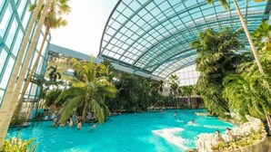 Una piscina interior con techo de cristal, rodeada de palmeras y plantas de interior.