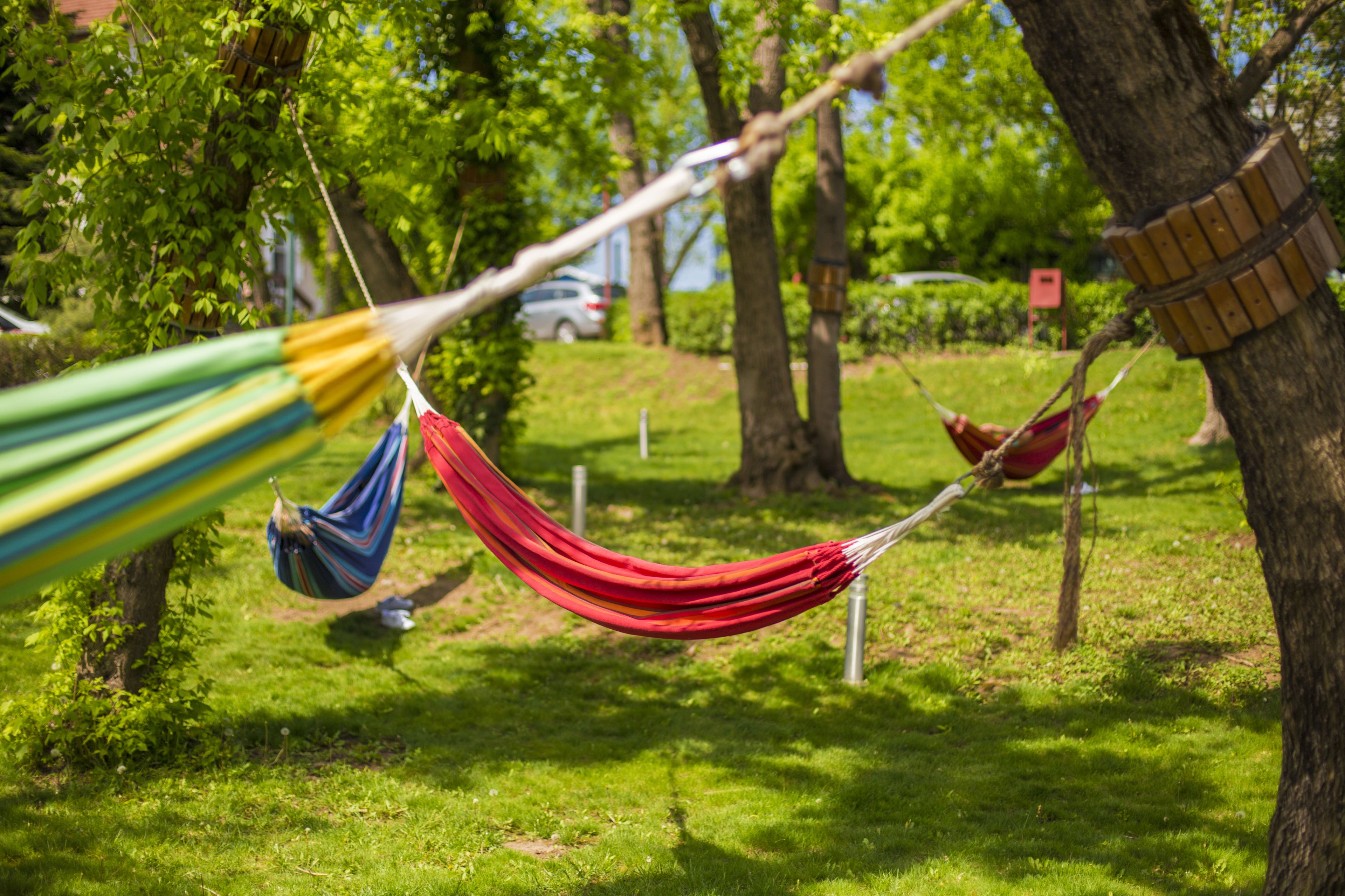 A hammock tied between trees in a grassy area.