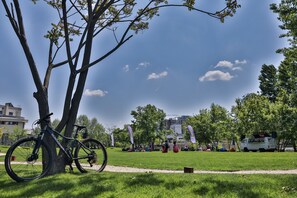 A bicycle parked under a tree in a park with a clear sky.