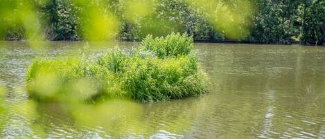 A small island with dense vegetation surrounded by calm water.