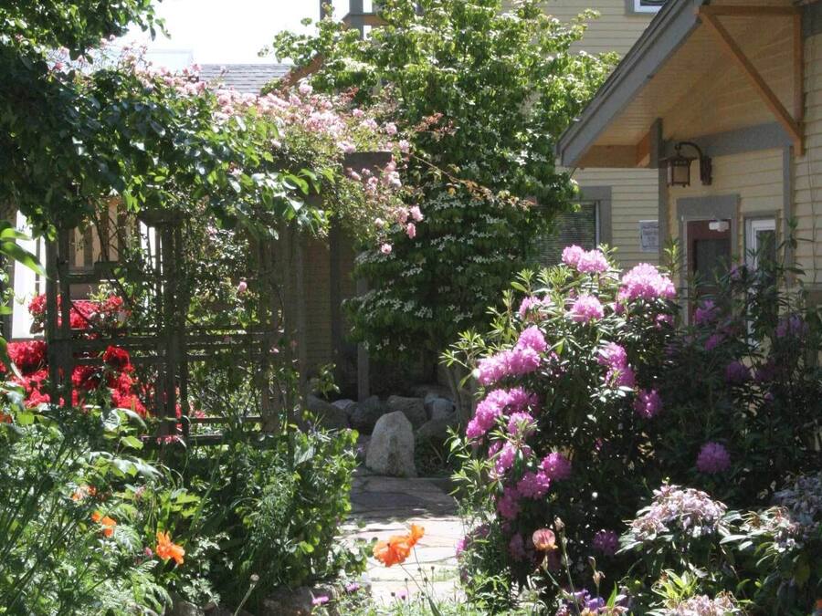 A garden with a wooden pergola, flowering plants, and a pathway leading to a house.