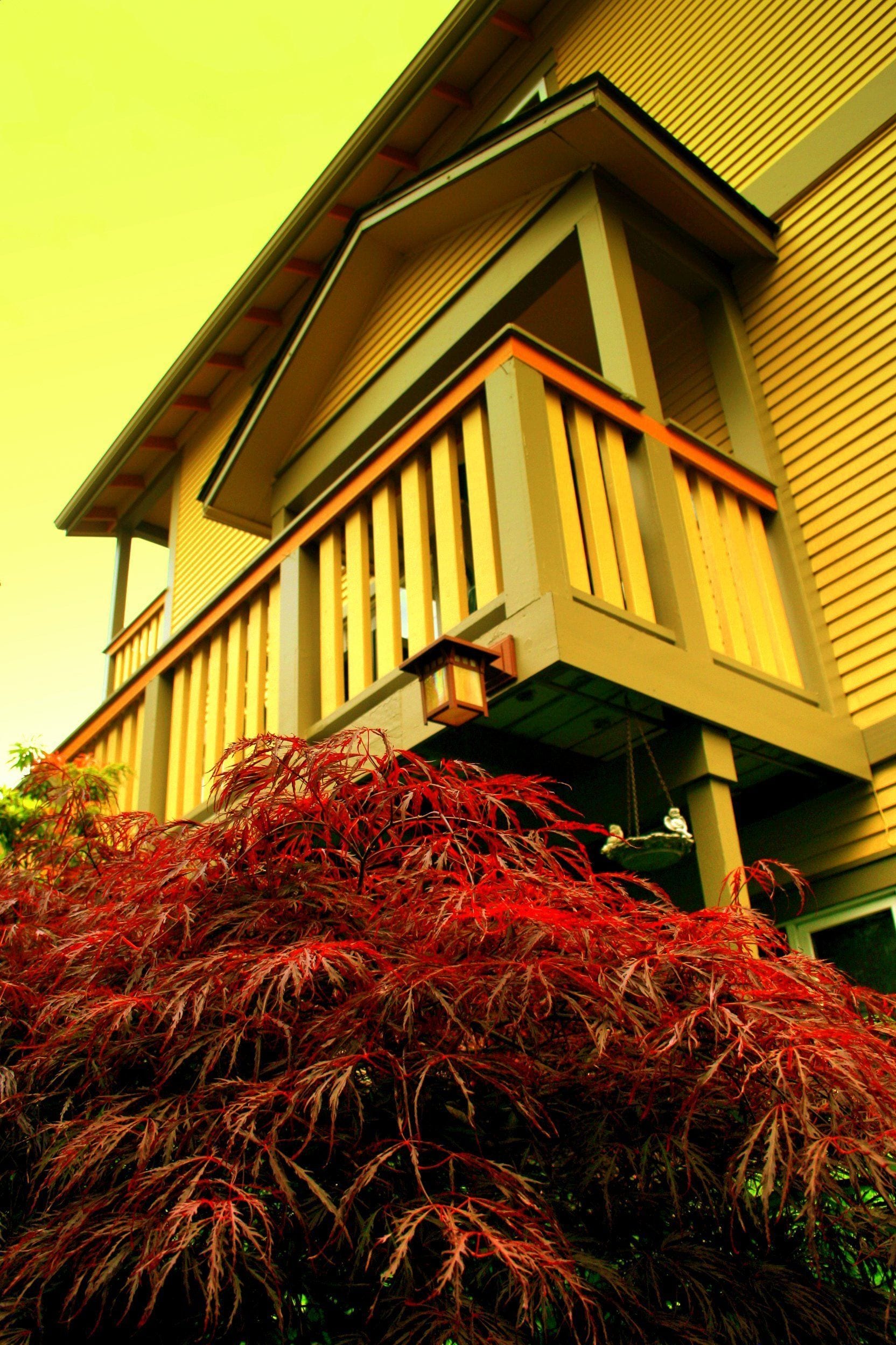 A building with a balcony and a red-leaved plant in front.
