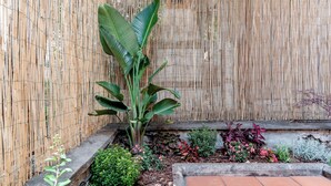 A garden with a bamboo fence, a banana plant, and various shrubs and flowers. - Hotel Espana (Rome)