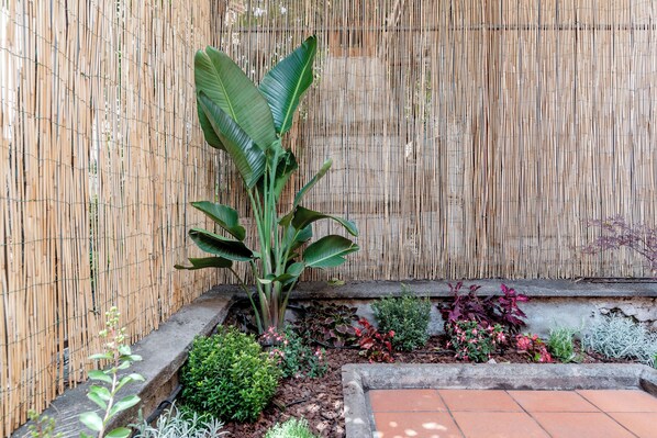A garden with a bamboo fence, a banana plant, and various shrubs and flowers. - Hotel Espana (Rome)