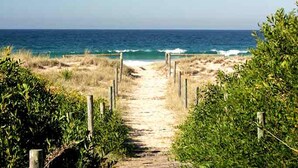 Un sendero que lleva a la playa, con vistas al océano.
