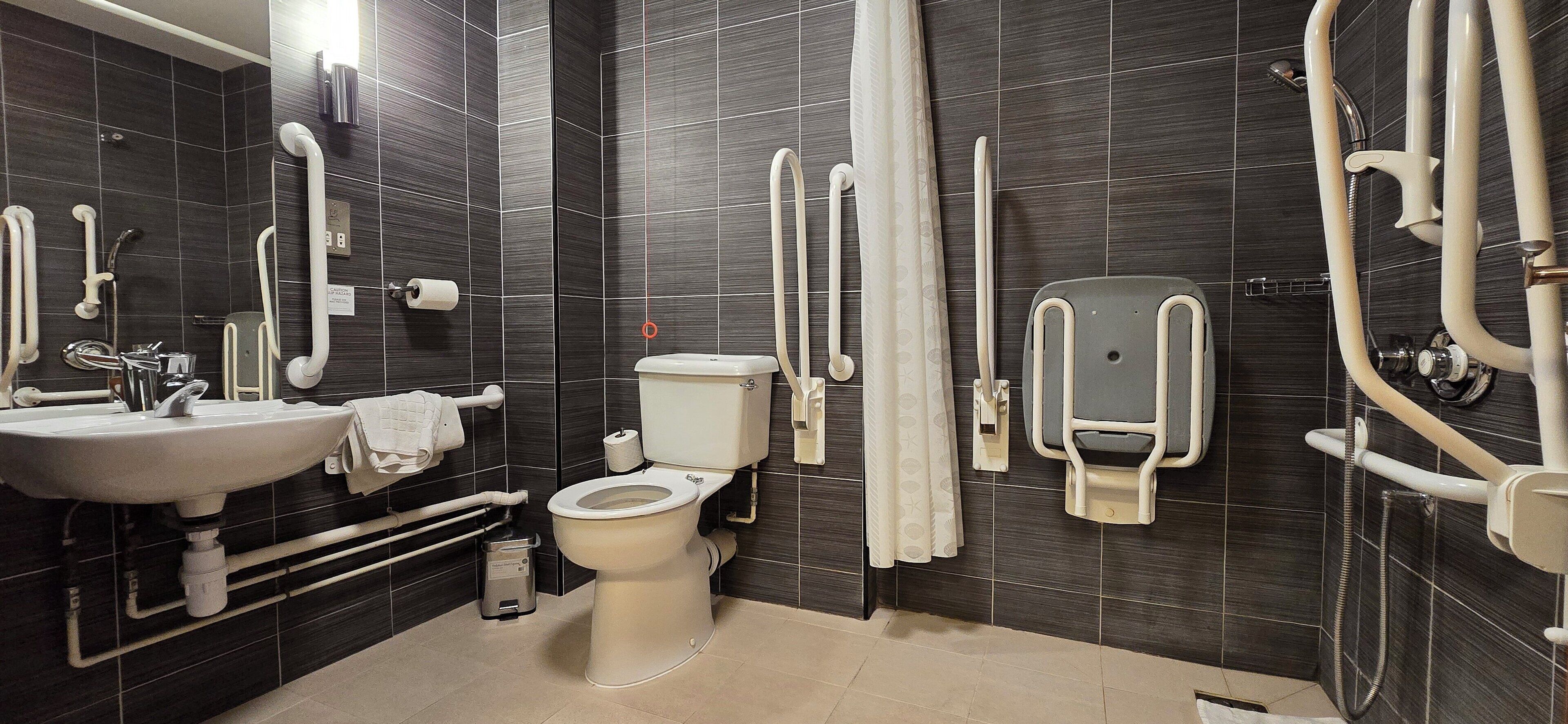 standard double room, accessible | accessible bathroom