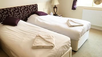 Twin Room | Iron/ironing board, rollaway beds, free WiFi