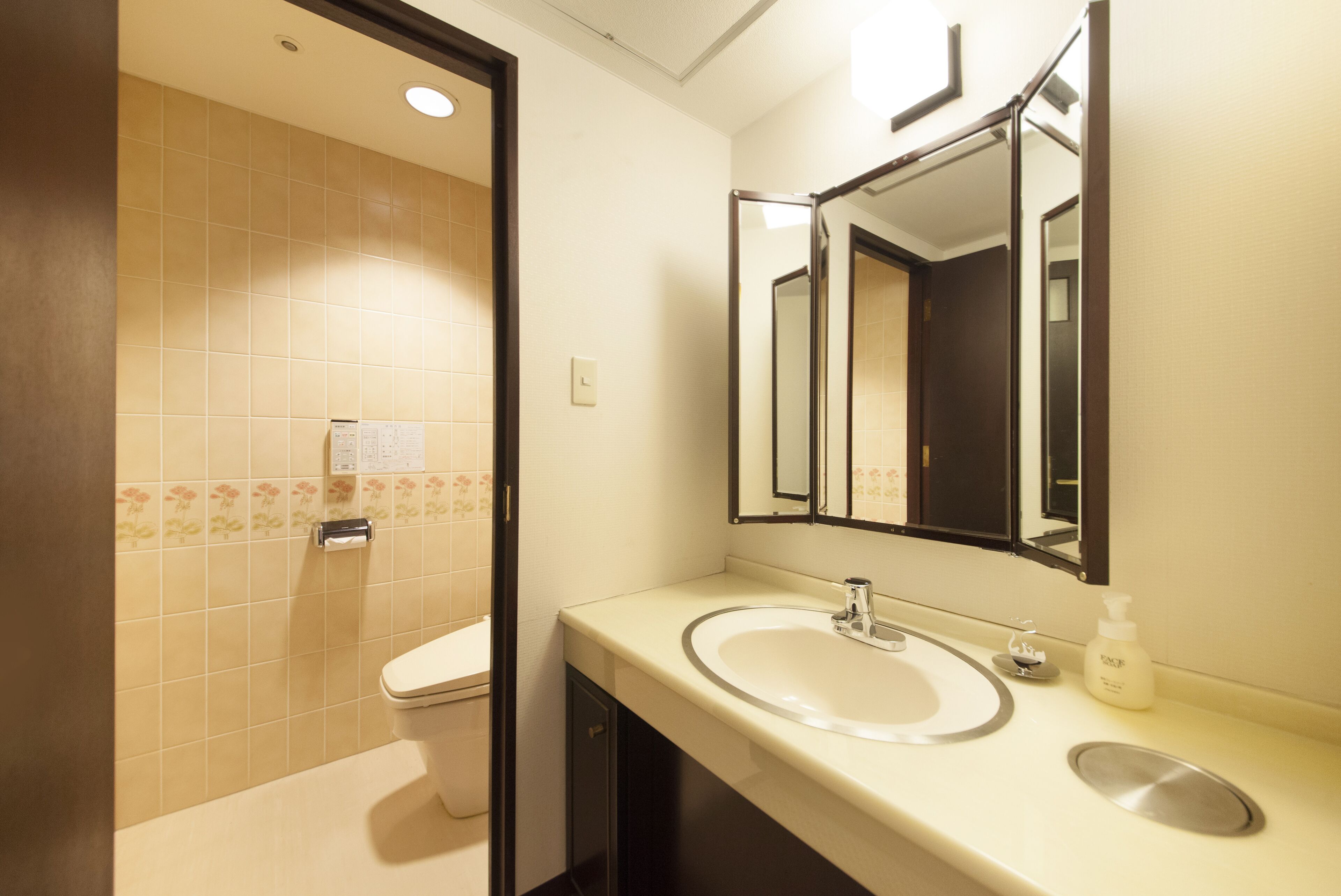 combined shower/bathtub, free toiletries, hair dryer, bathrobes