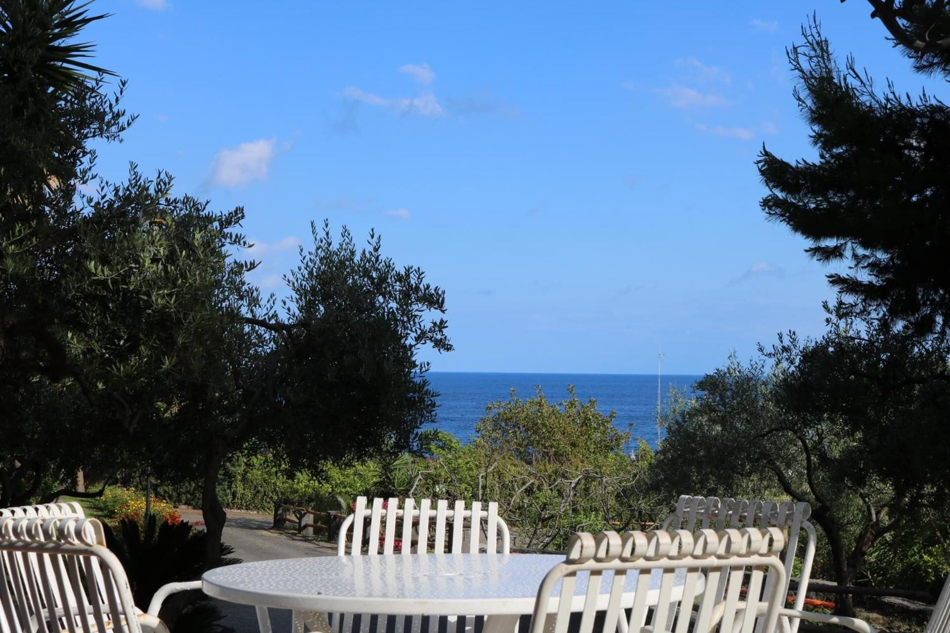 Foto - Villa delle Palme