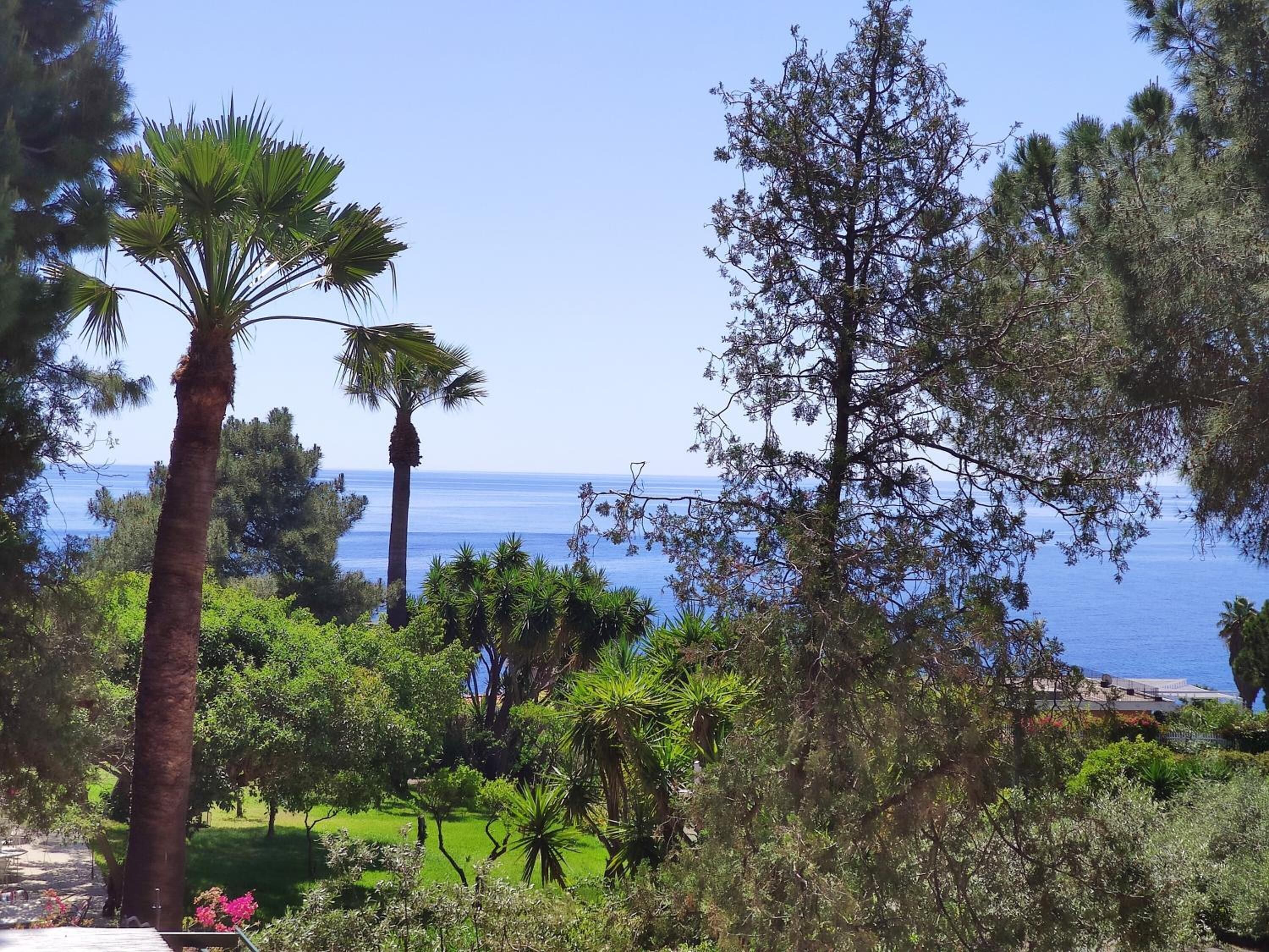 Photo - Villa delle Palme