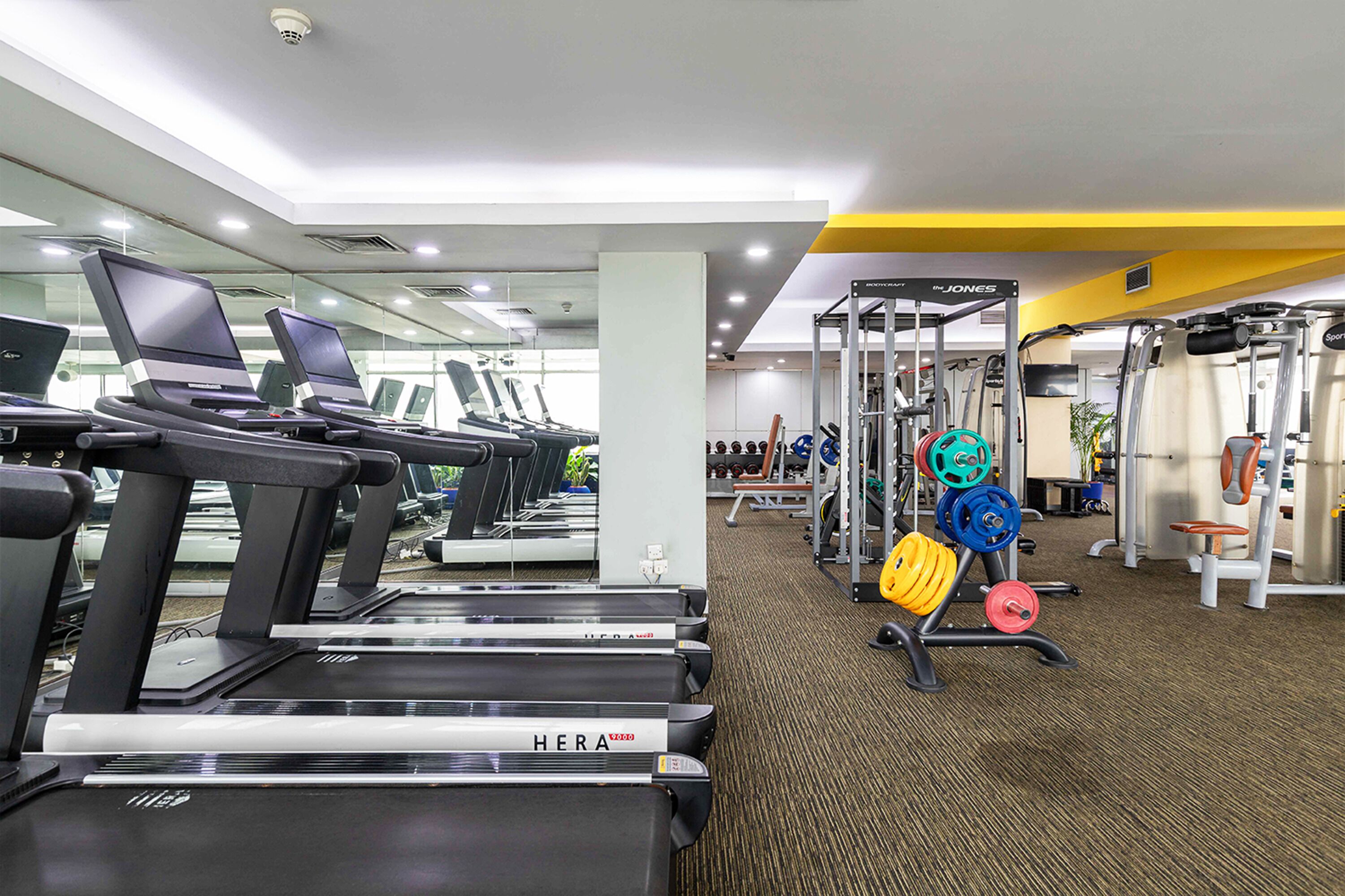 A gym with treadmills, weightlifting equipment, and a mirror wall.