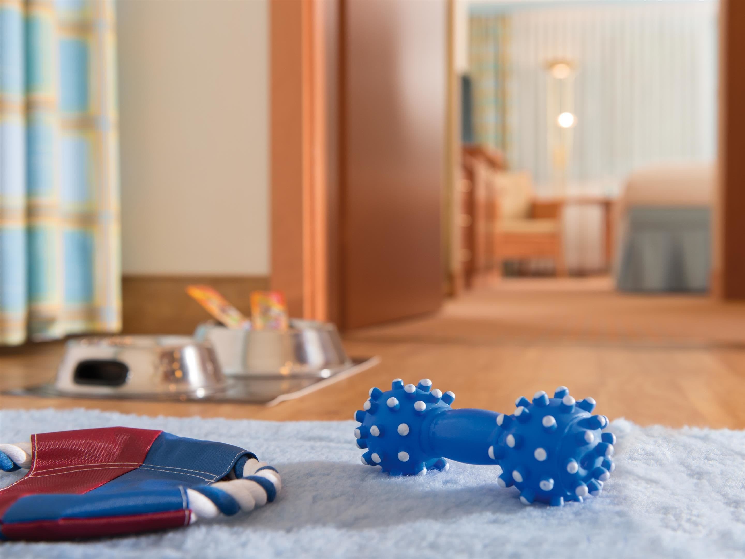double room (dog friendly) | room amenity