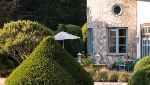 A stone building with a round window, a neatly trimmed hedge, and outdoor seating with green chairs and a table. - Bernstein Prerow (Ostseebad Prerow)