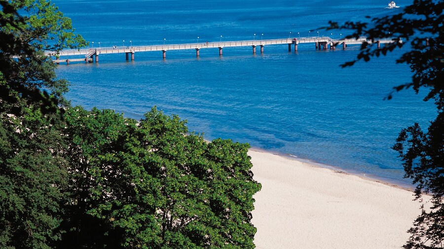 aja Nordperd & Villen